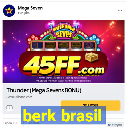 berk brasil